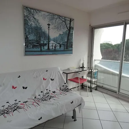 2 Pieces Avec Piscine, Parking Prive, Proche Commerces Et Plage, Expose Sud - Fr-1-328-264 ラ・グランド・モット