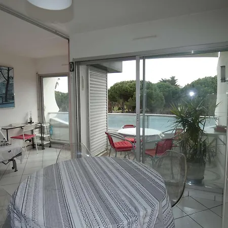 2 Pieces Avec Piscine, Parking Prive, Proche Commerces Et Plage, Expose Sud - Fr-1-328-264 * לה גרנד מוט