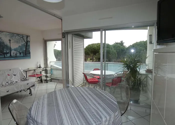 2 Pieces Avec Piscine, Parking Prive, Proche Commerces Et Plage, Expose Sud - Fr-1-328-264 * La Grande-Motte