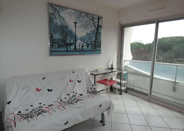 2 Pieces Avec Piscine, Parking Prive, Proche Commerces Et Plage, Expose Sud - Fr-1-328-264 La Grande-Motte